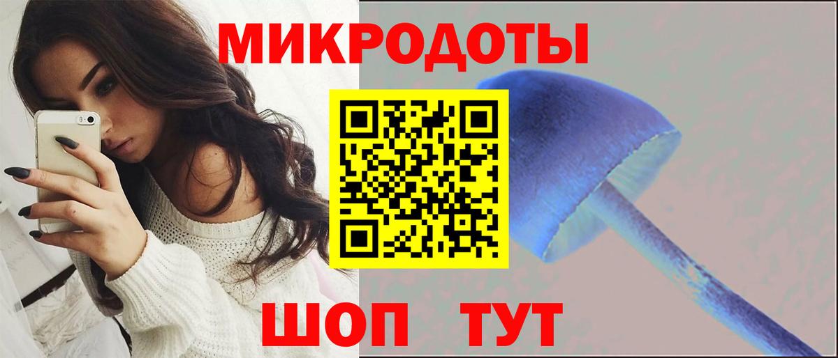 Абакан  Псилоцибиновые грибы мицелий  Вход с VPN 
