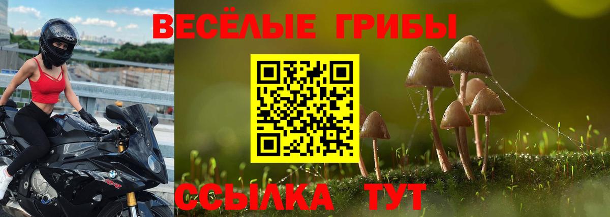 Галлюциногенные грибы MAGIC MUSHROOMS Абакан